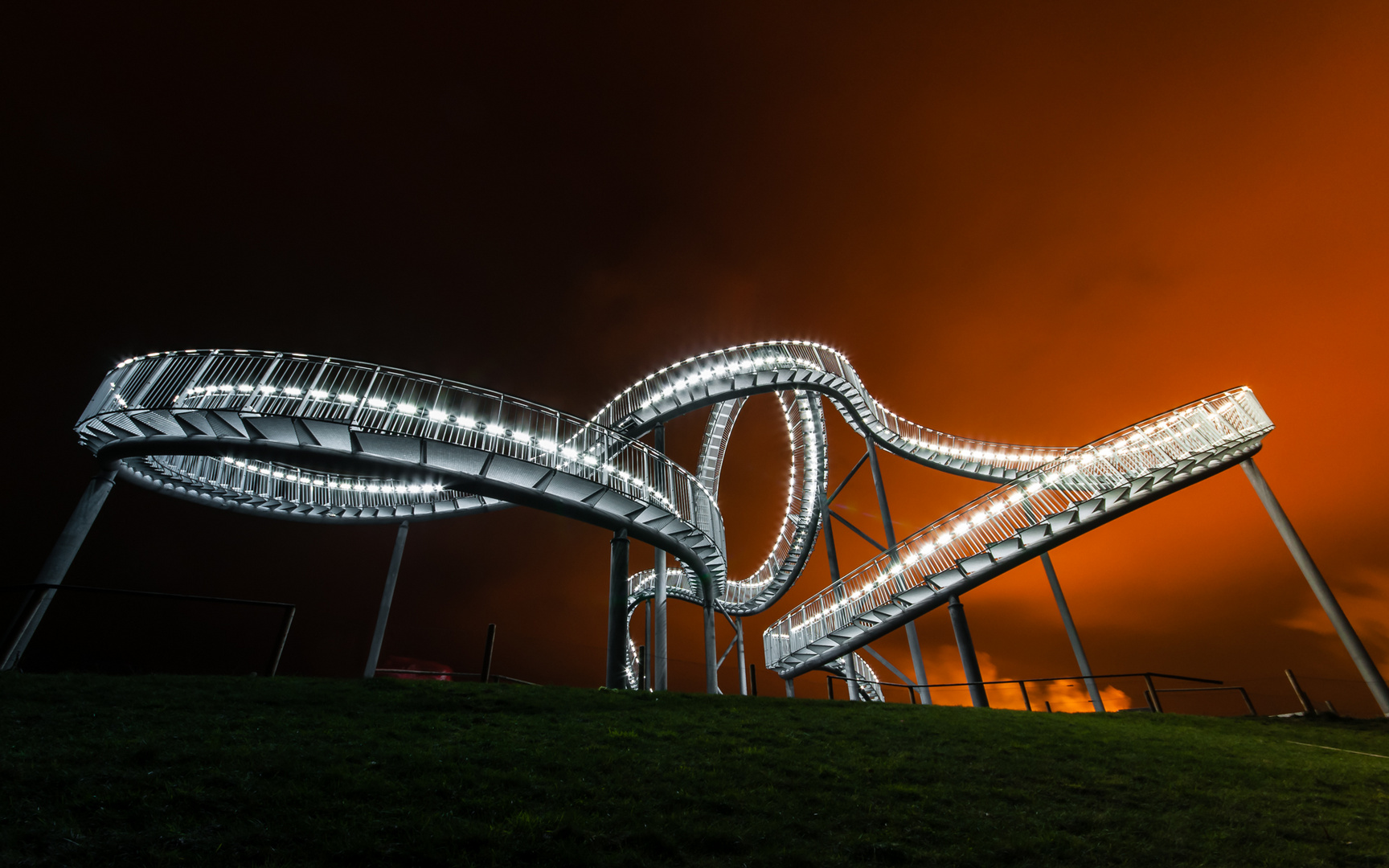 Tiger&Turtle