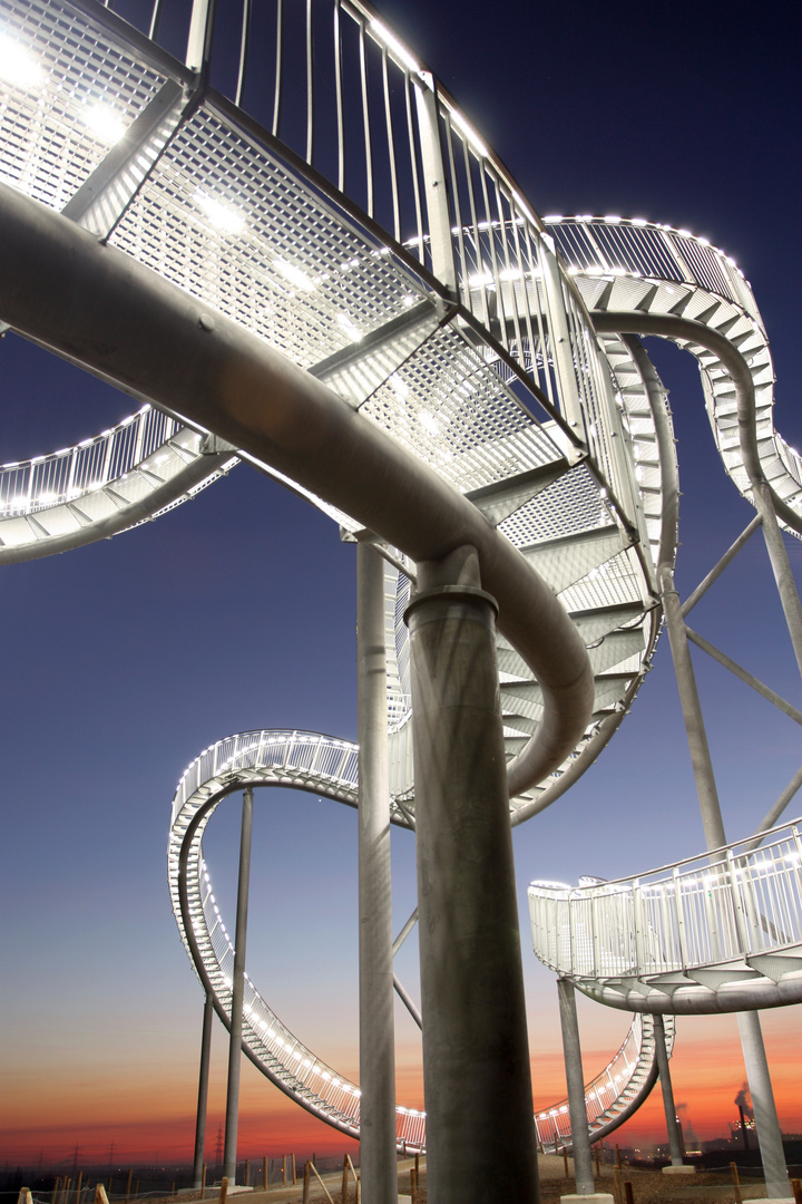 Tiger&Turtle