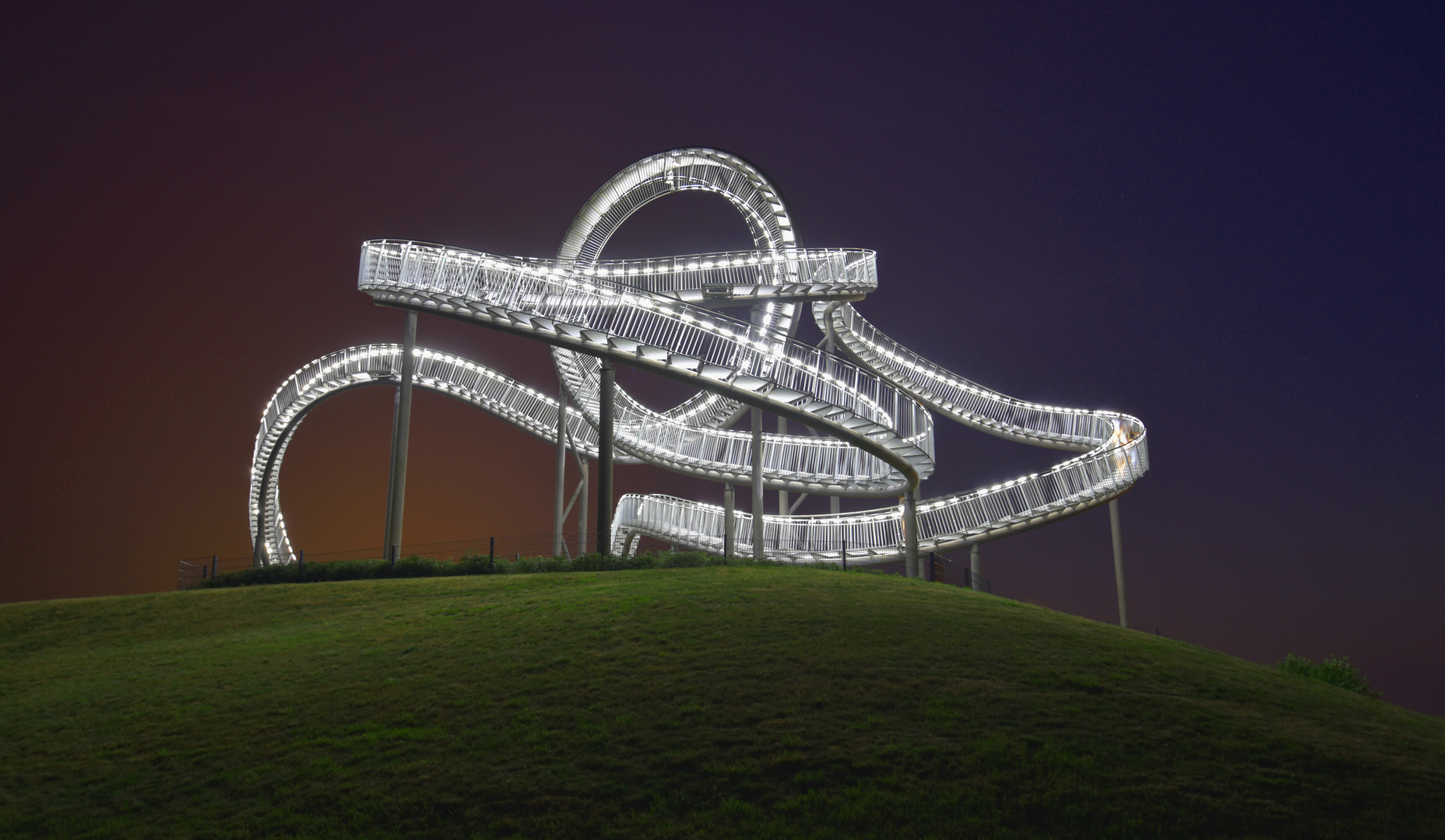 Tiger&Turtle