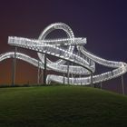 Tiger&Turtle