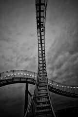 Tiger&Turtle - 