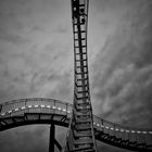 Tiger&Turtle - 