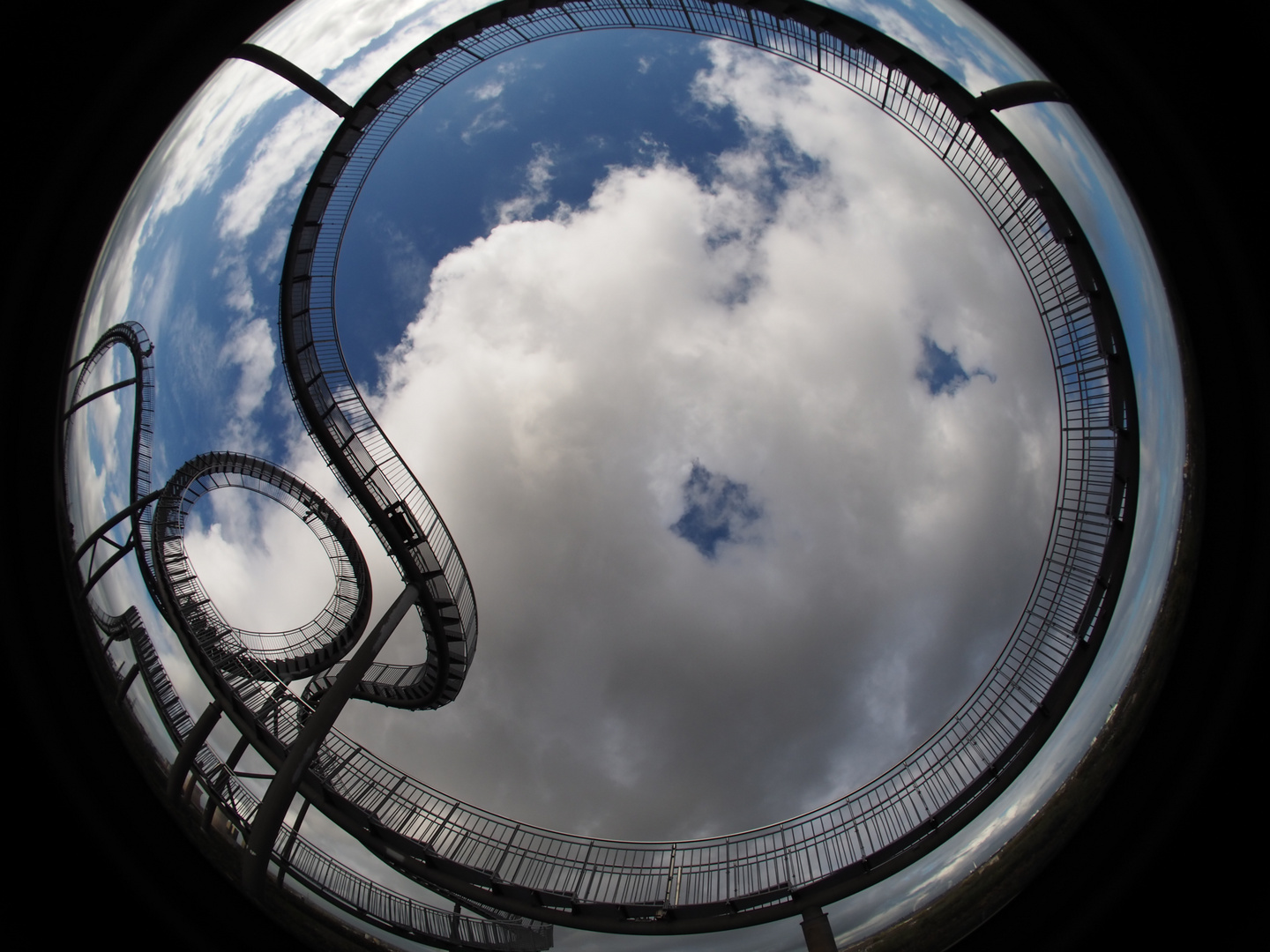 Tiger&Turtle