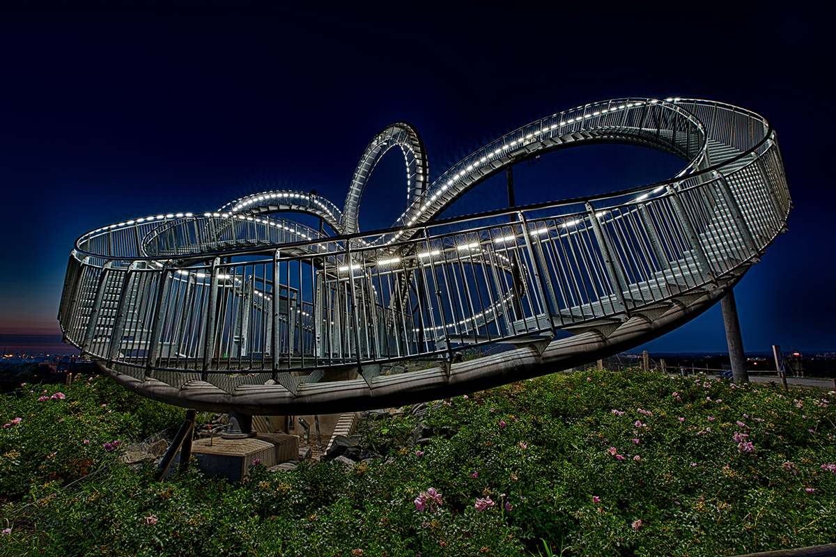 Tiger&Turtle