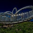 Tiger&Turtle