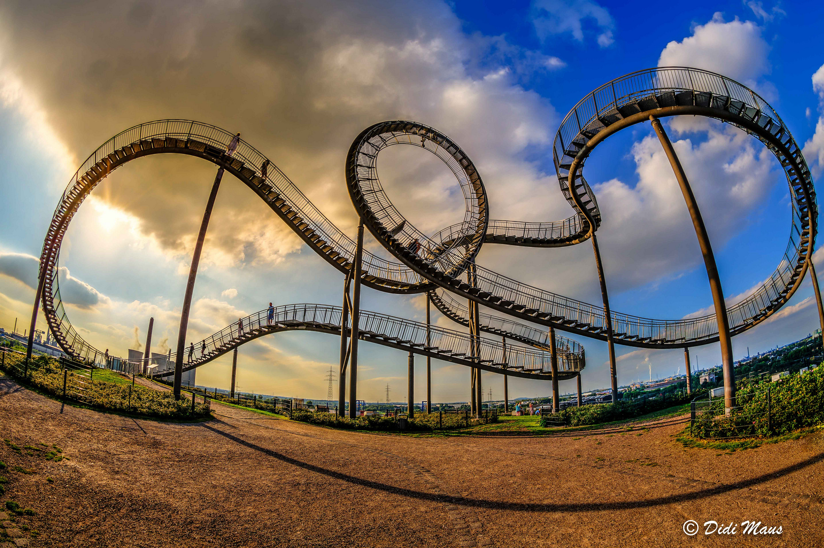 Tiger&Turtle