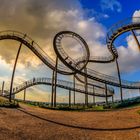 Tiger&Turtle