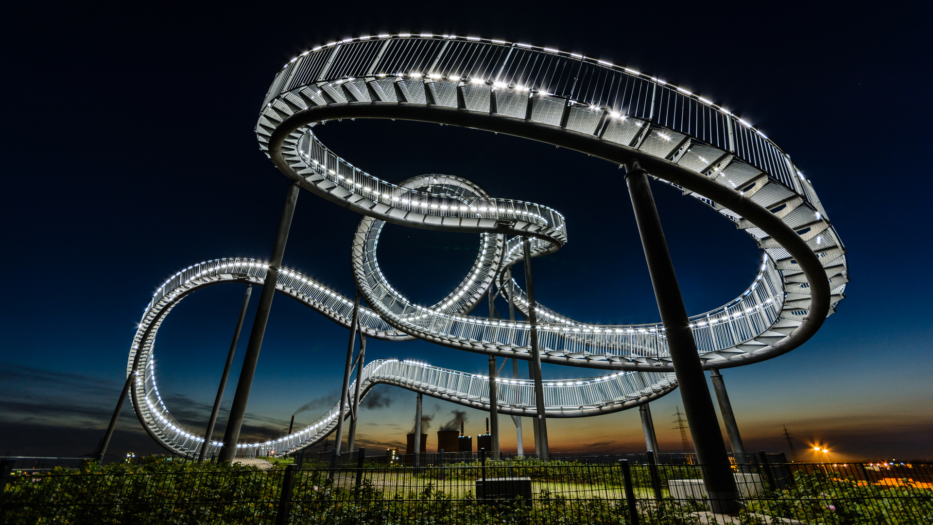 Tiger&Turtle