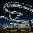 Tiger&Turtle