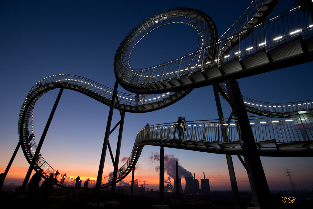 Tiger&Turtle (H. Mutter& U. Genth)