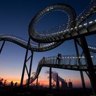 Tiger&Turtle (H. Mutter& U. Genth)