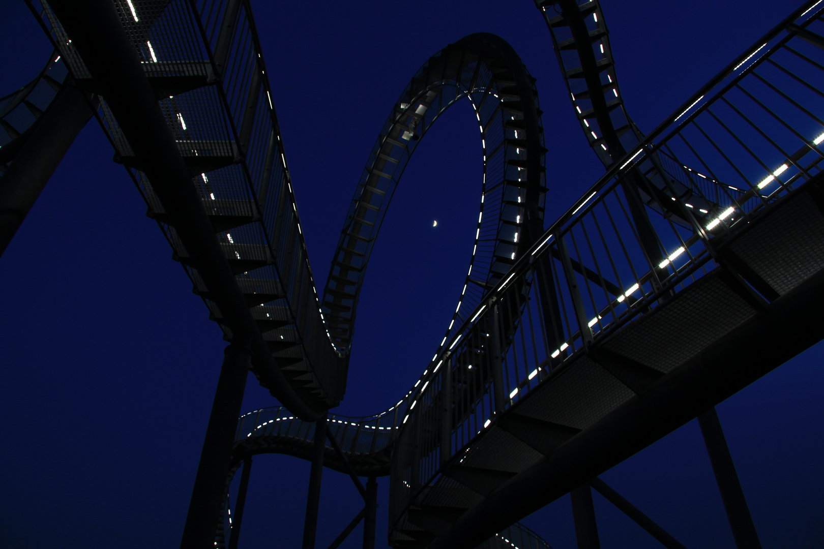 Tiger&Turtle II