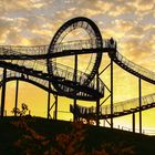 Tiger&Turtle II