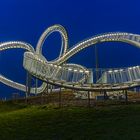 "Tiger&Turtle" III