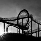 Tiger&Turtle Im Gegenlicht