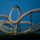 Tiger&Turtle in der Dämmerung