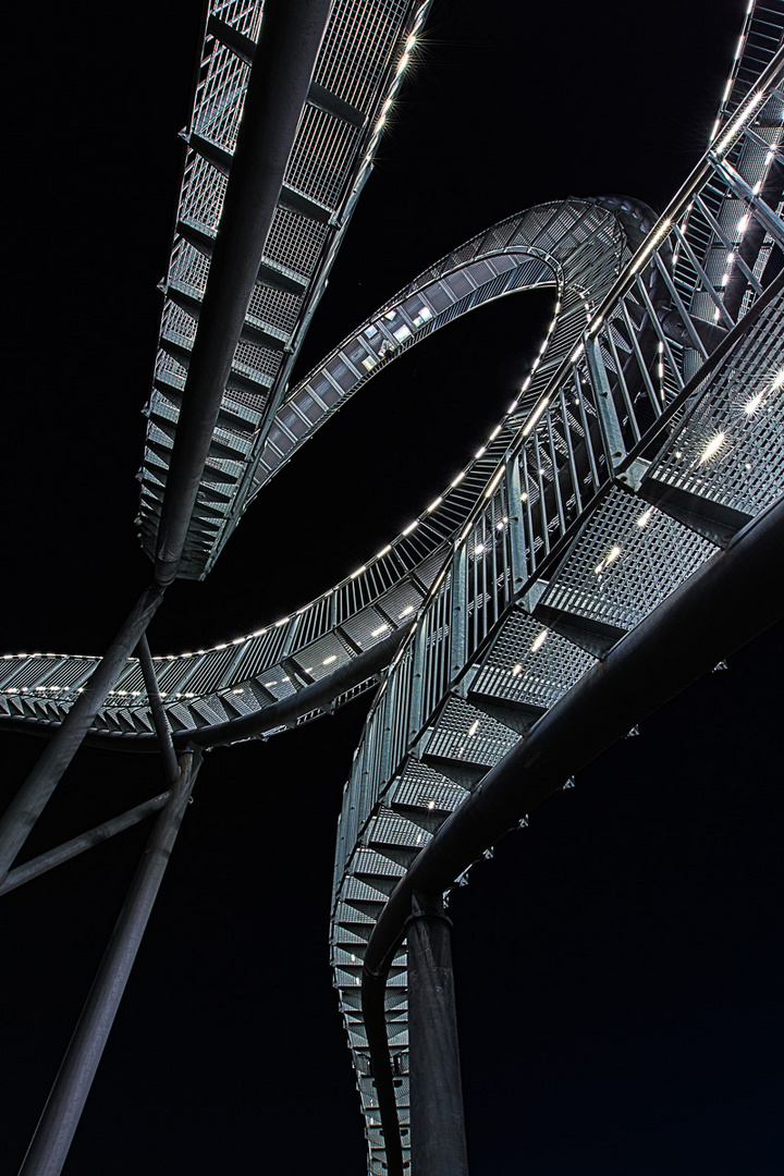 "Tiger&Turtle" IV