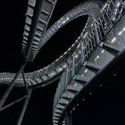 "Tiger&Turtle" IV