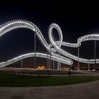 Tiger&Turtle Magic Mountain