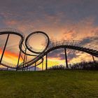 Tiger&Turtle Magic Mountain