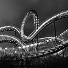 Tiger&Turtle Magic Mountain