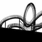 tiger&turtle >> silhouette