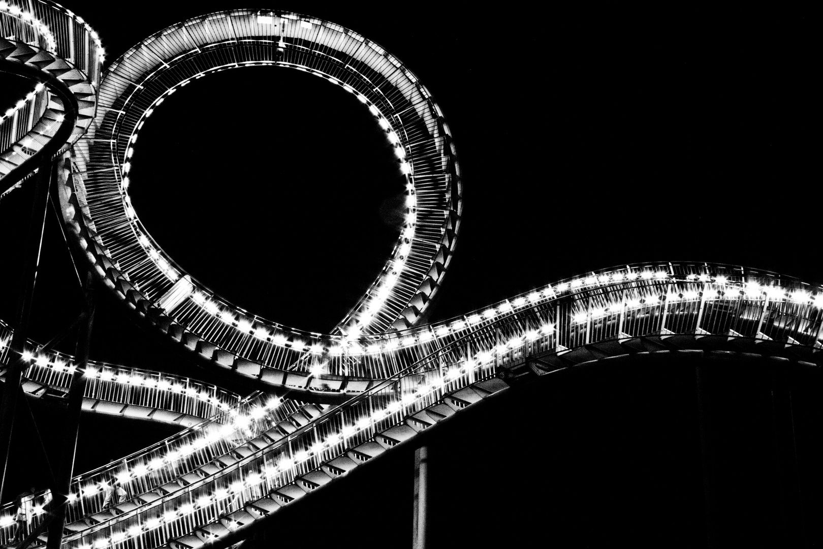 Tiger&Turtle S/W