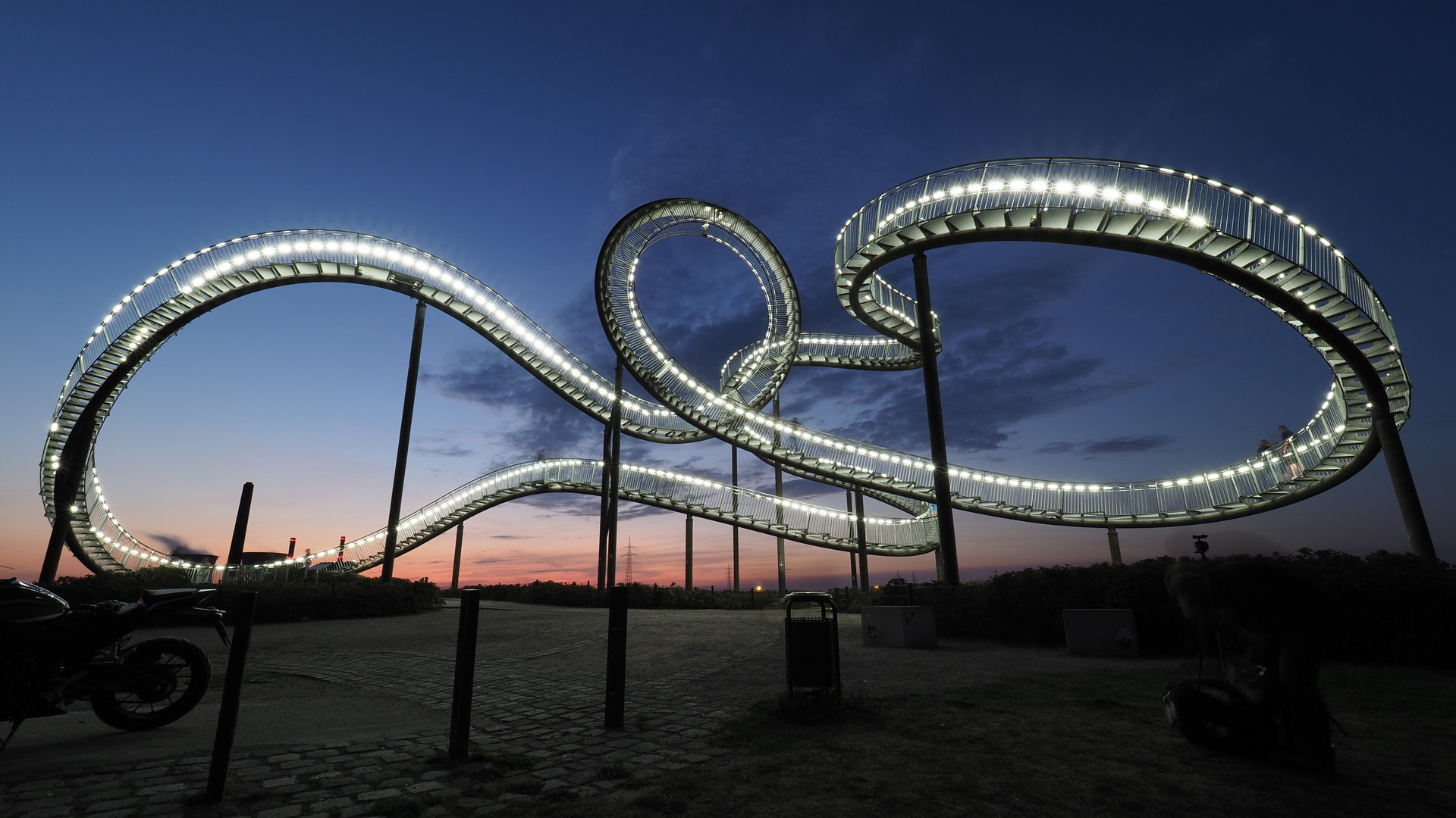 Tiger&Turtle1