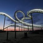 Tiger&Turtle1