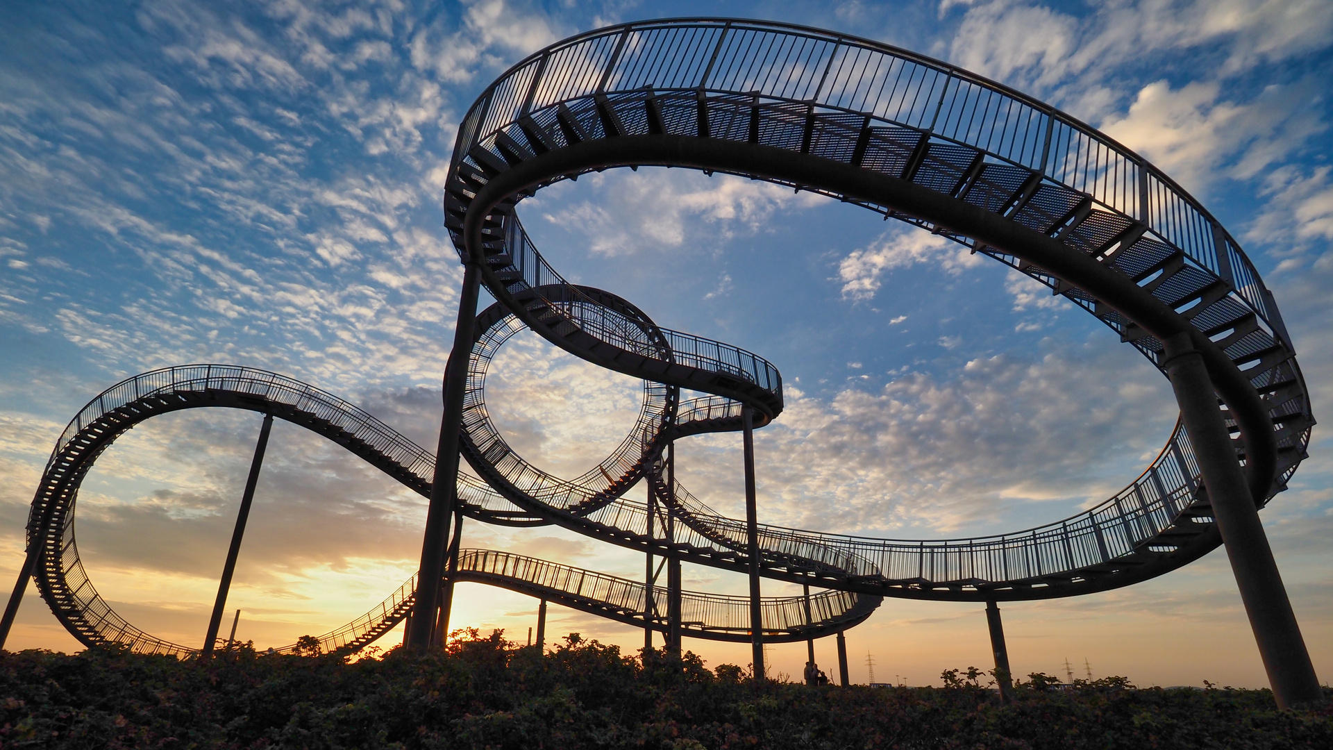 Tiger&Turtle2