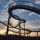 Tiger&Turtle2