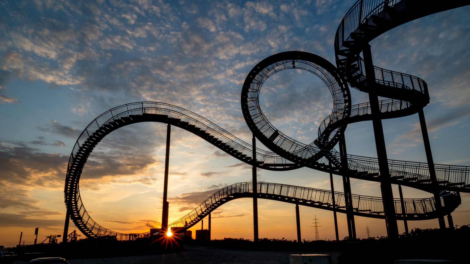 Tiger&Turtle3