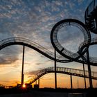 Tiger&Turtle3