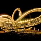 Tiger&Turtle_II