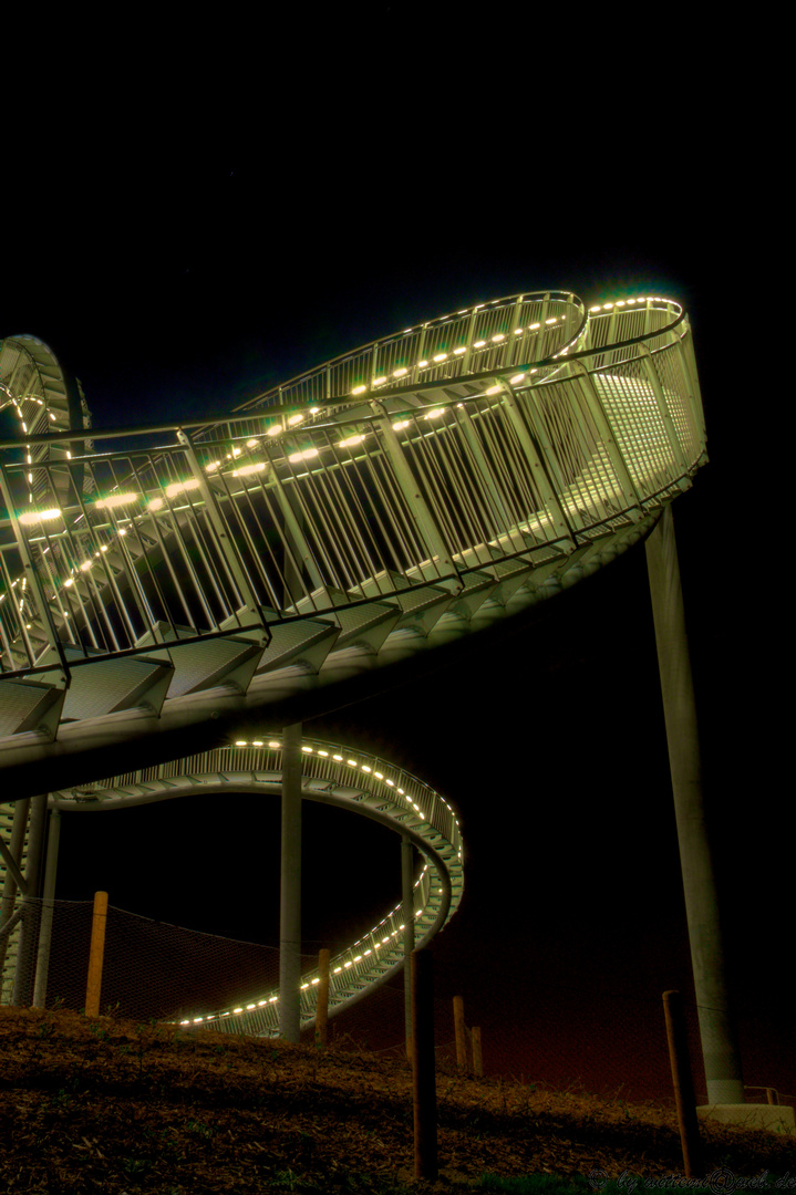 Tiger&Turtle_III