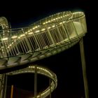 Tiger&Turtle_III