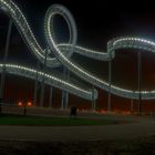 Tiger&Turtle_IV