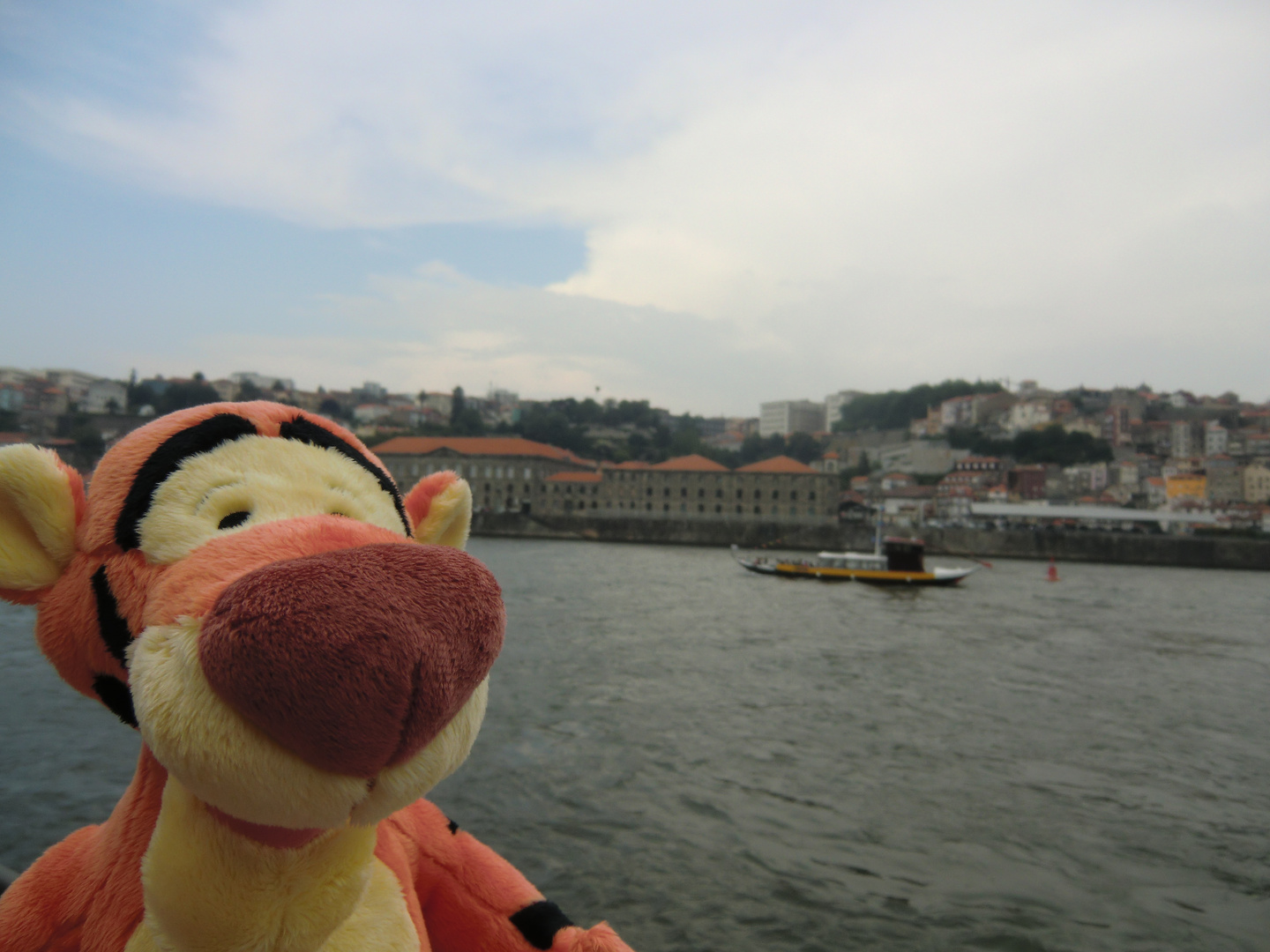 Tigger meets Porto