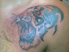 TIGRE