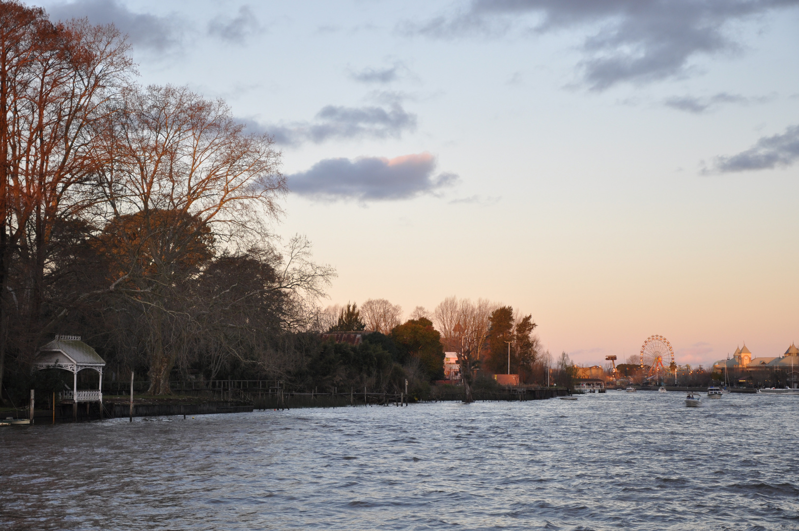 Tigre al atardecer