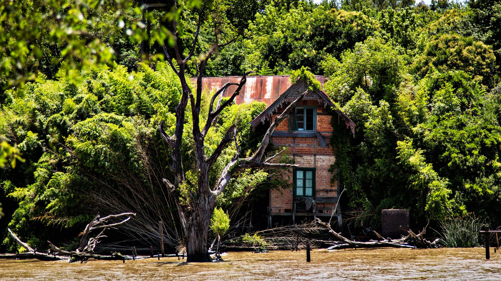 Tigre (argentinische Impressionen)