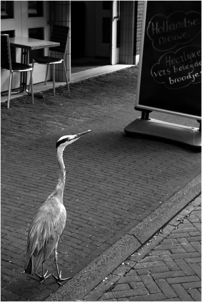 tijd voor de lunch