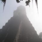 Tikal