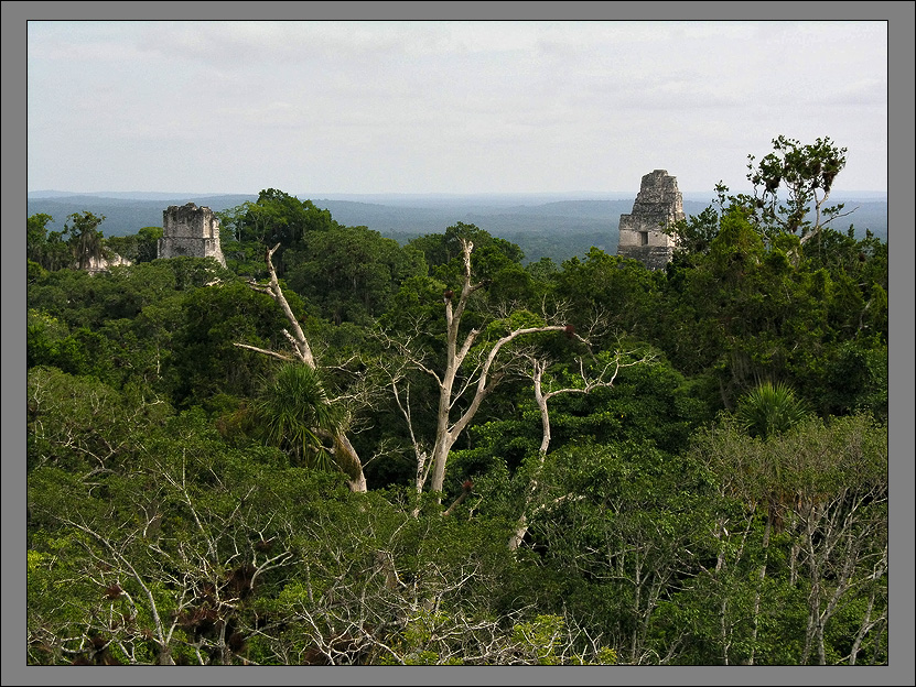 Tikal 4