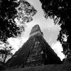 TIKAL