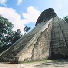 Tikal