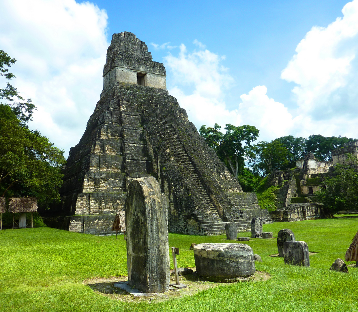 TiKaL