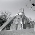 Tikal