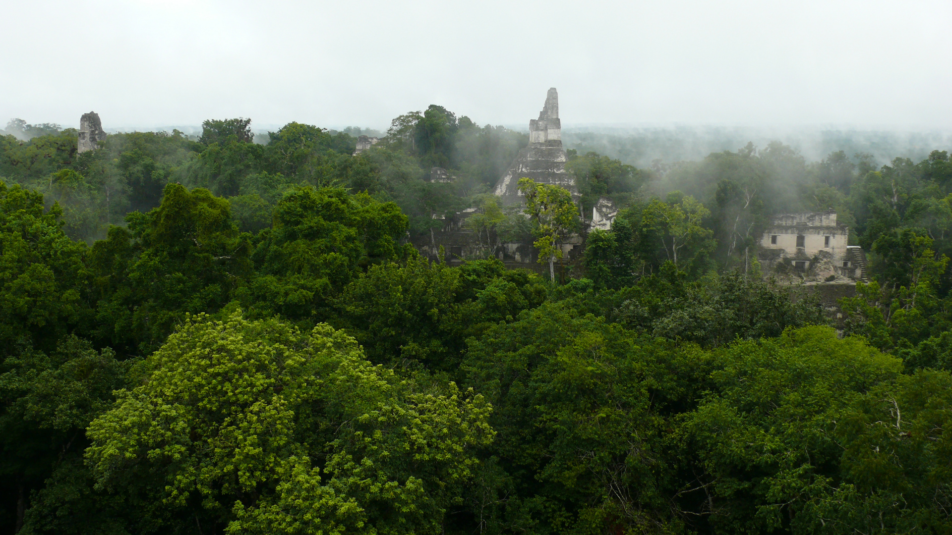 Tikal