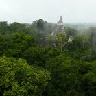 Tikal